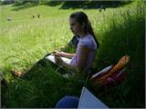 image-31