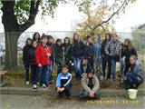DSCI0109