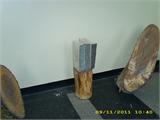 TDSCI0022